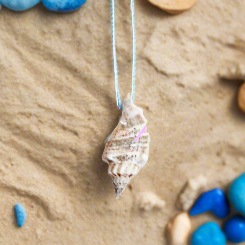 Shell Collection (14” Cord)