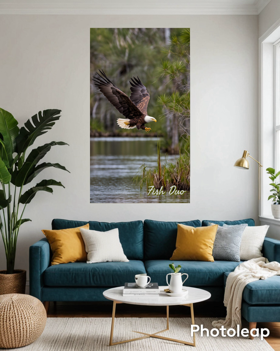 Eagle in Florida Flight