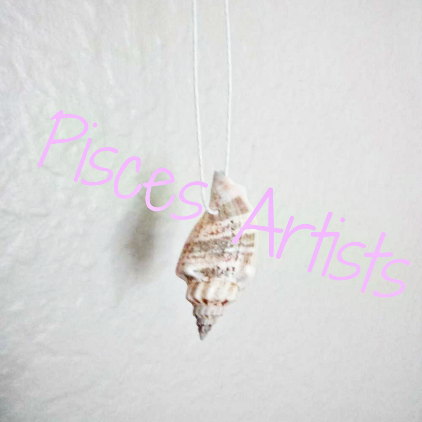 Shell Collection (14” Cord)
